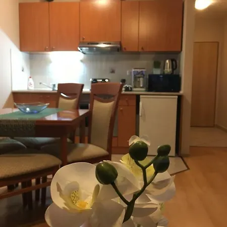Orchidea Apartman Hegyko Exterior photo
