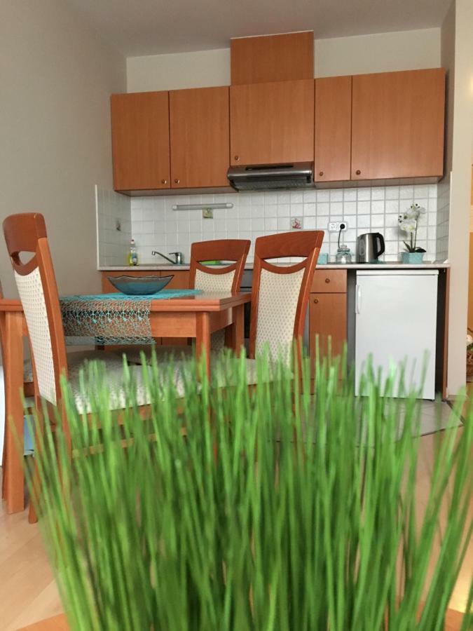 Orchidea Apartment Hegyko